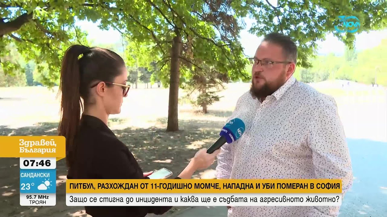 Питбул, разхождан от дете, нападна и уби померан в София - Здравей, България (09.08.2024)