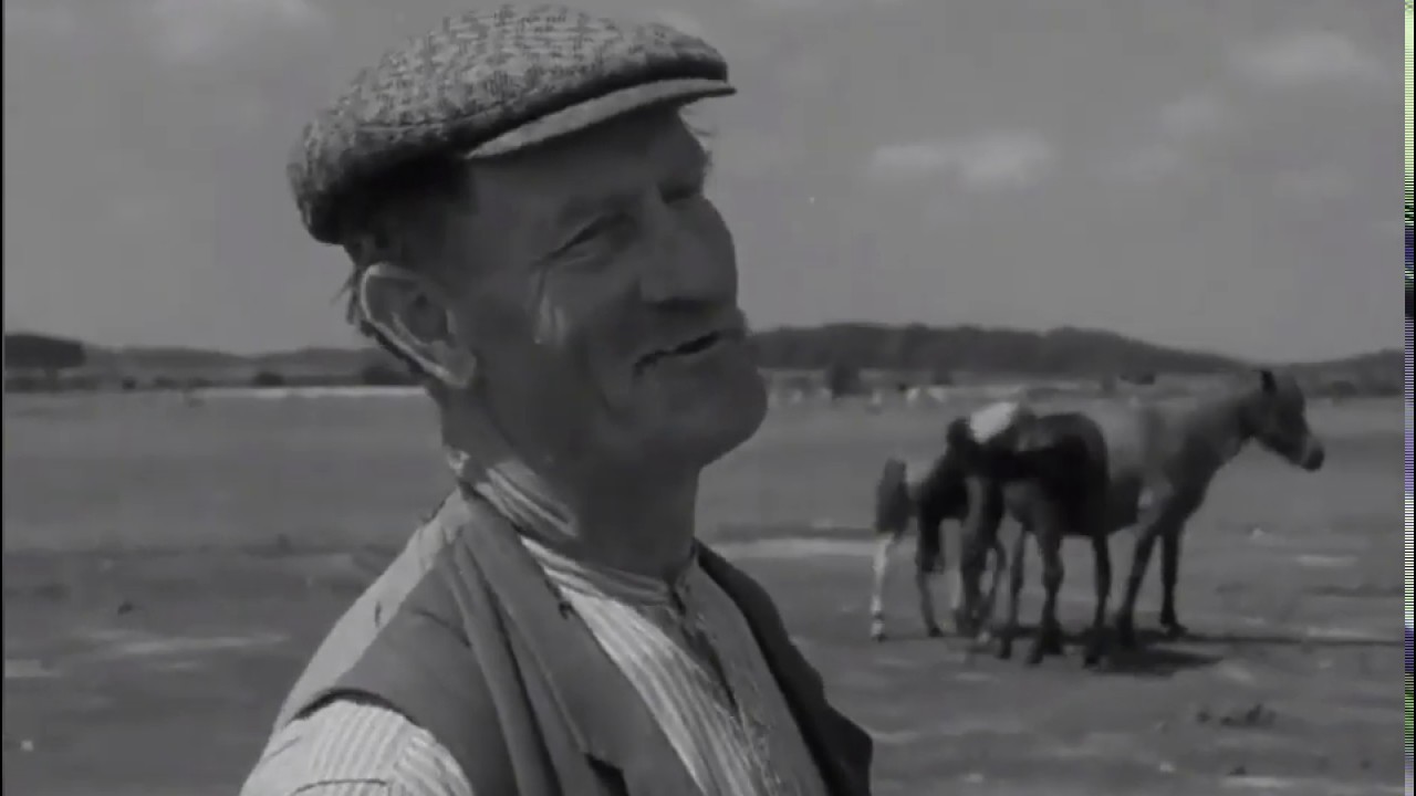 New Forest  set in 1952