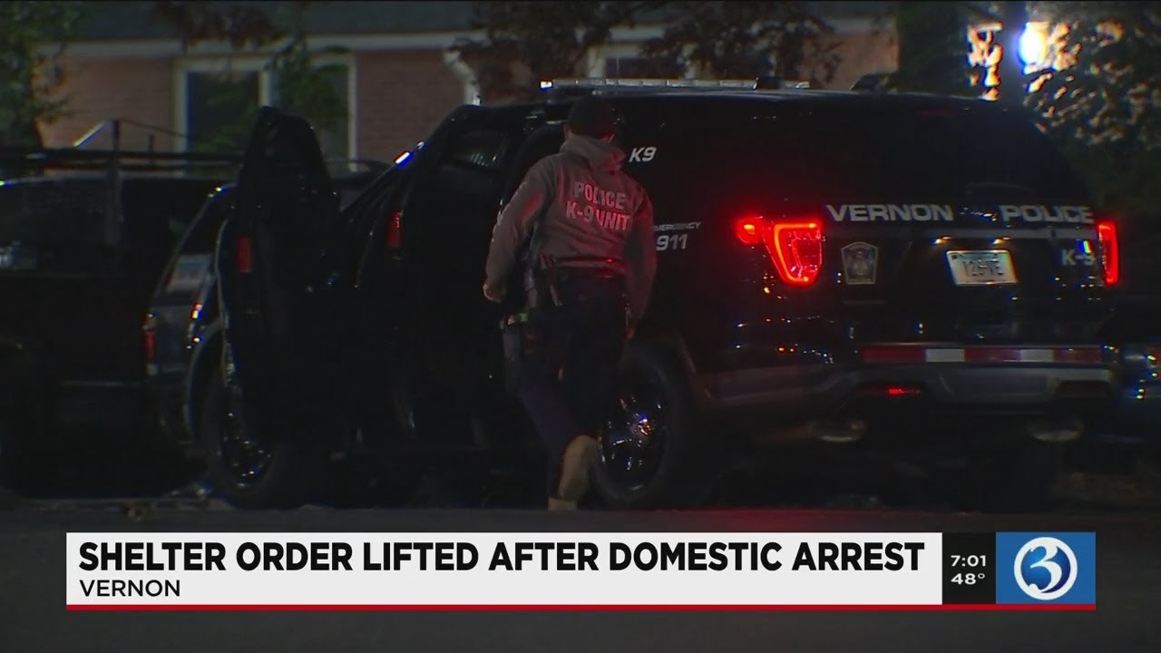 VIDEO: 2 in custody following domestic violence incident in Vernon