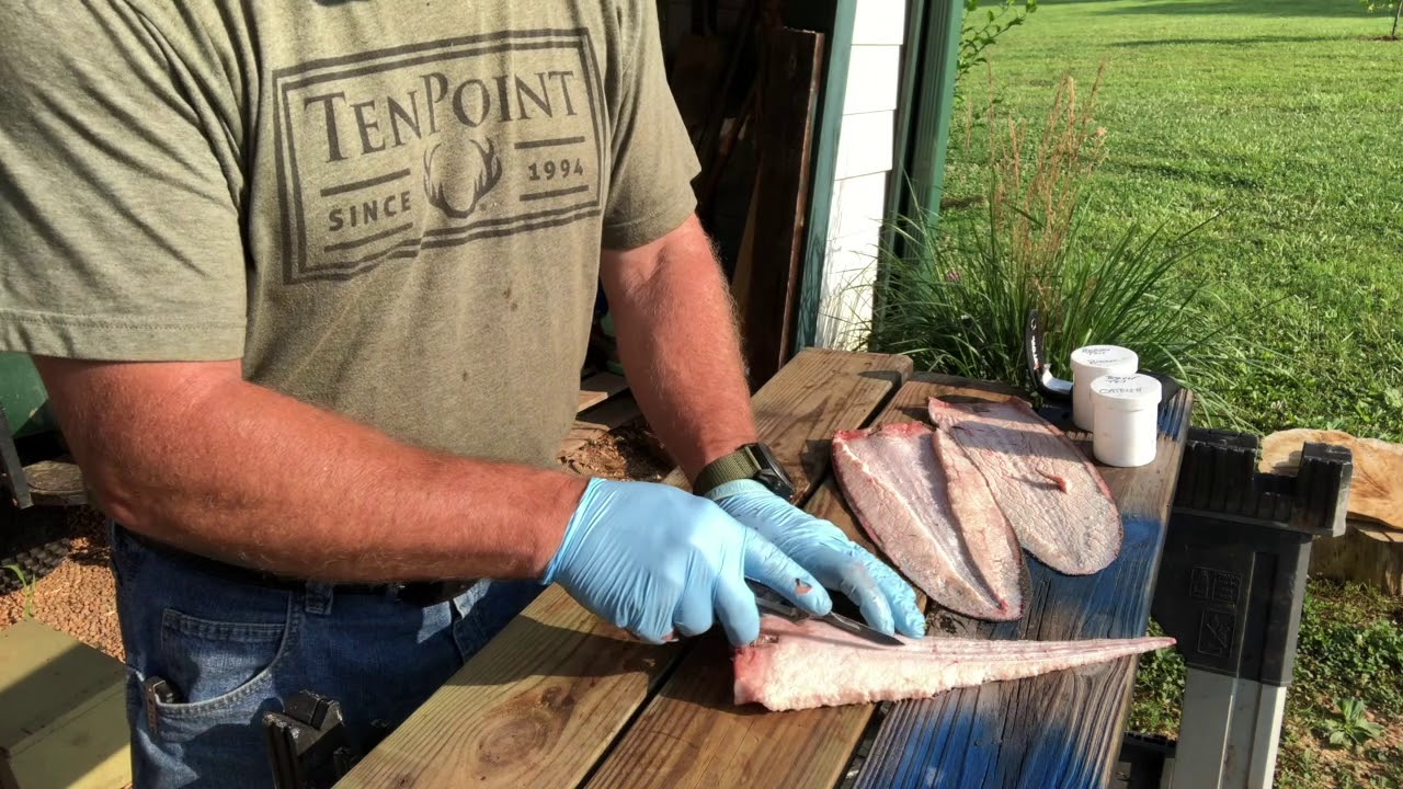 Turning a Beaver Tail into Fish Bait