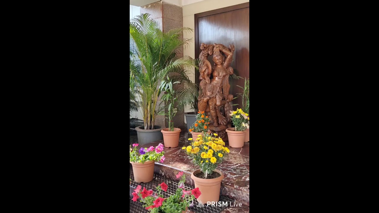 মন ভালো করা গিটারের সুর | Relaxing Acoustic Guitar Music for Peace of Mind🌉