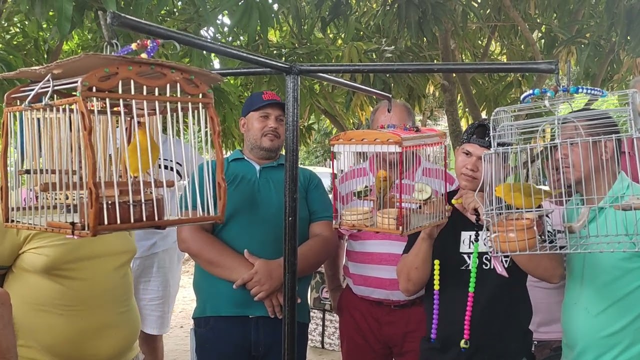 final de canario criollos Sincelejo sucre gracias a los administradores 2022