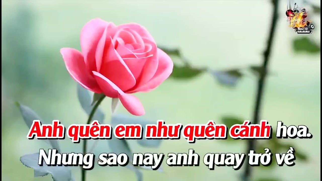 Nụ hồng mong manh - bắt nhịp karaoke tone nữ