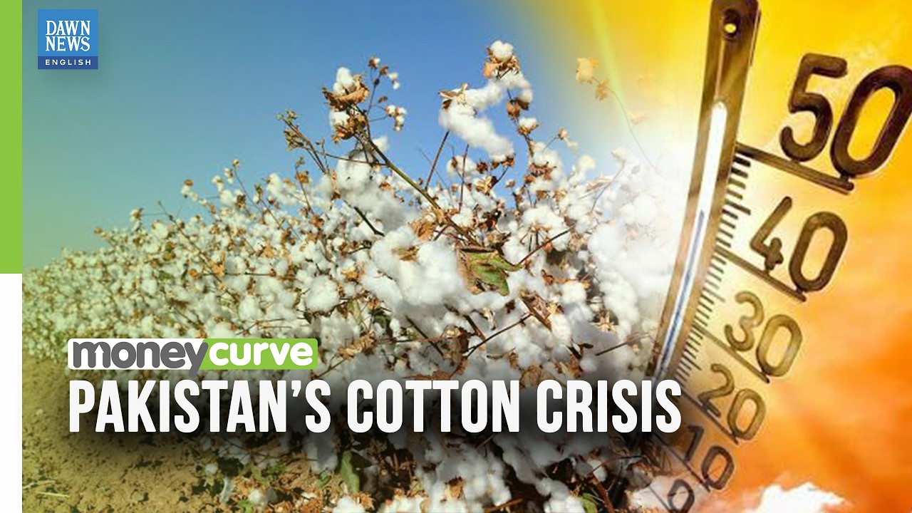Heatwave Hits Pakistan&rsquo;s Textile Backbone | Dawn News English