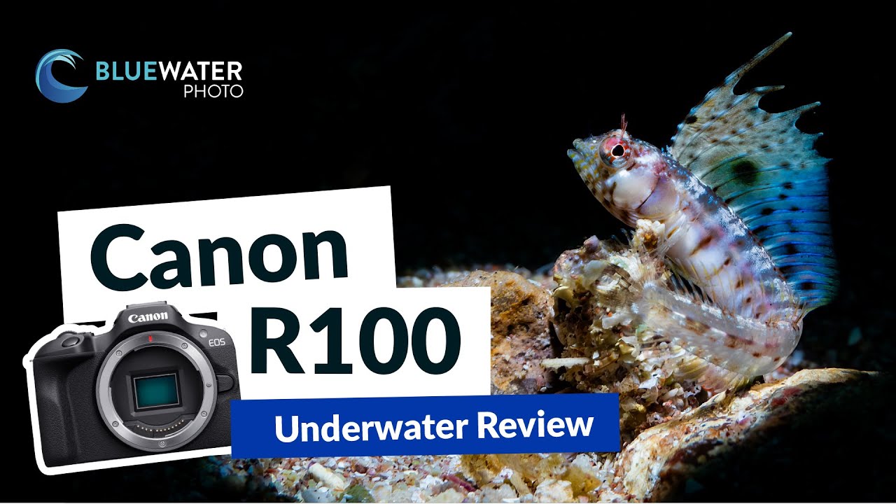 Canon R100 Review // The NEW Best Value Underwater Camera