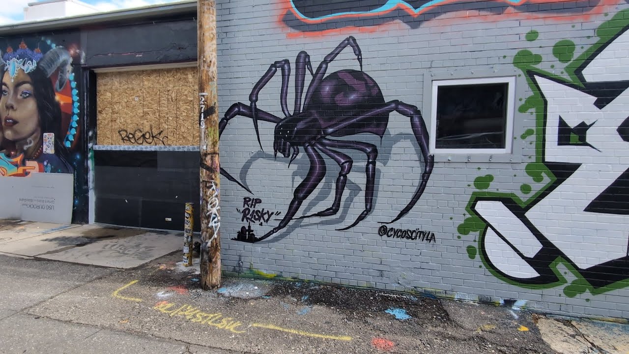 Sightings in Denver Spring of 2025