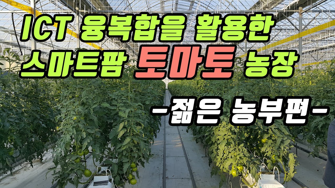 ICT 융복합을 활용한 스마트팜 토마토 농장