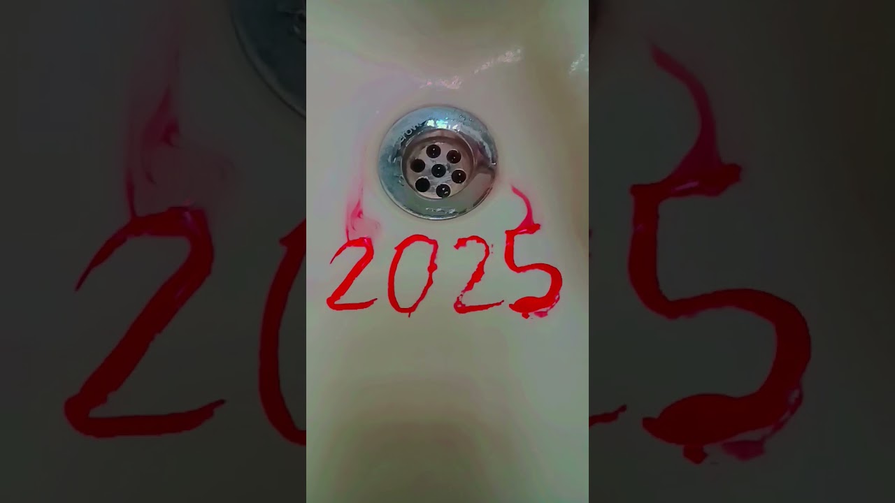 Goodbye 2024, hello 2025 #lyrics #song #music #arcticmonkeys #memes#heydidyouseethisone #hiphopmusic