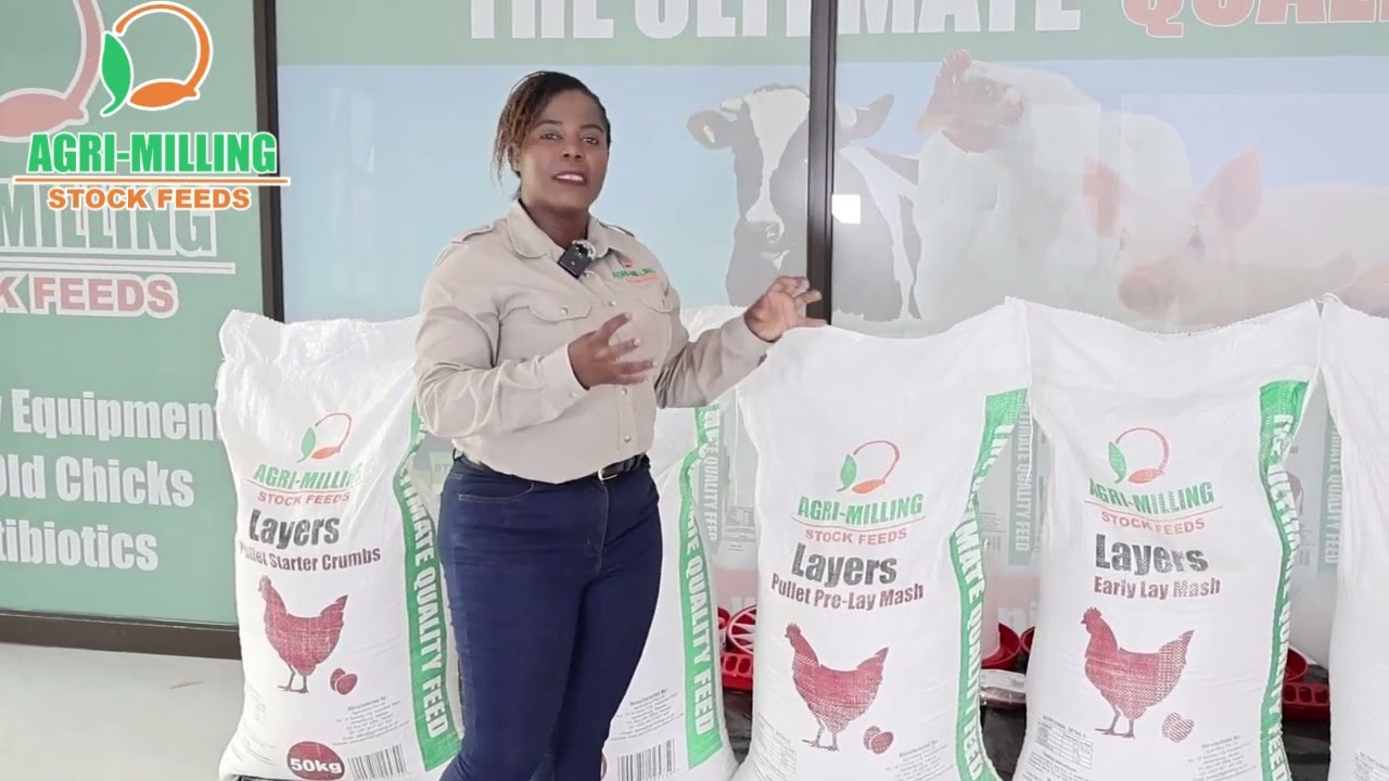 Agrimilling Stockfeeds Layers Feed: The Foundation of Profitable Egg Production.