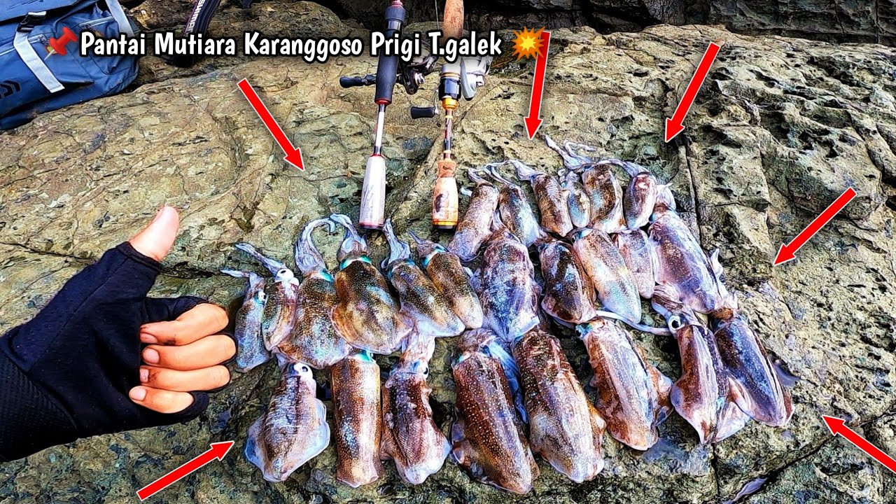 SPOT CUMI PINGGIRAN ‼️ MANCING DI SPOT WISATA MALAH PANEN CUMI-CUMI MANIS