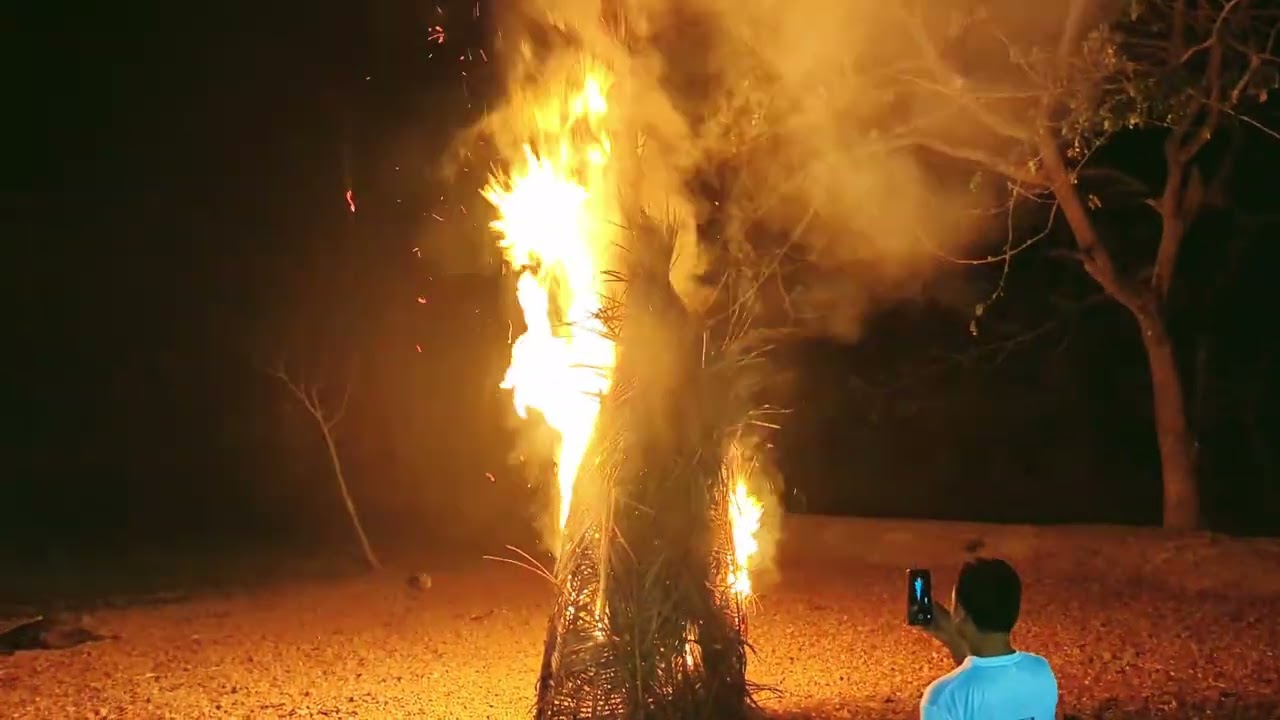 দোল উৎসব.   #vairalvideo #hilighits #dolpurnima2026 #foryouシ #foryoushorts #foryoupageシ #everyone 