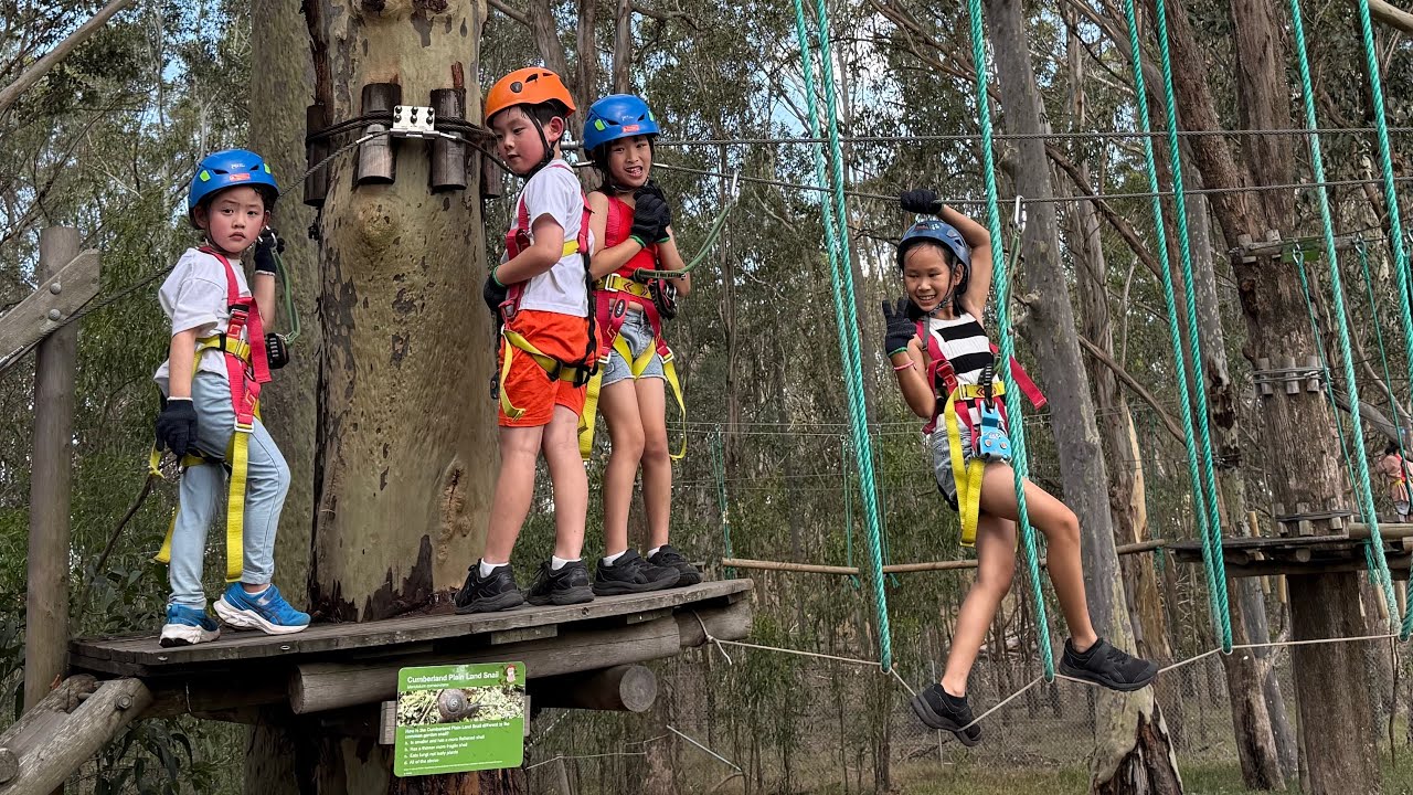 TREETOP ADVENTURE - WESTERN SYDNEY - 31/12/2024