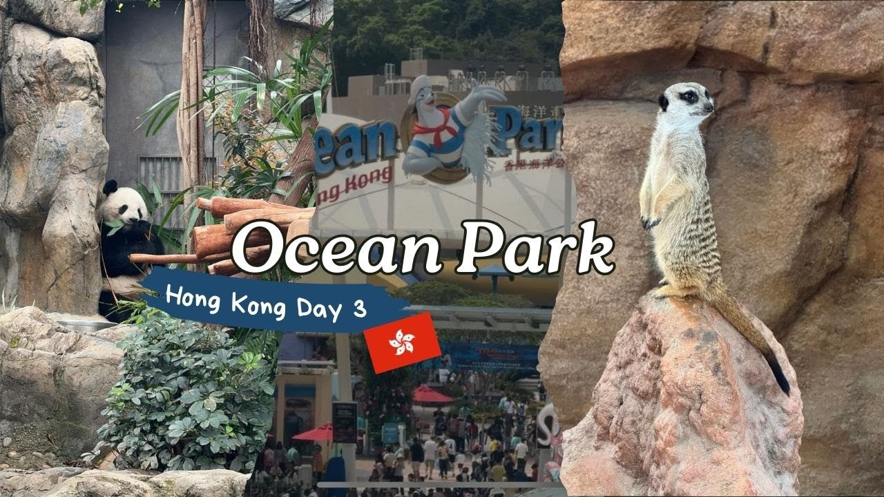 Ocean Park Vlog | Hong Kong Day 3 | Out First Time Seeing Giant Panda’s In Real Life!
