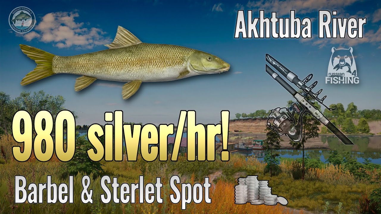 📌SECRET SPOT for 980 Silver/Hour! 🎣 Barbel & Sterlet FARM on Akhtuba River | Russian Fishing 4