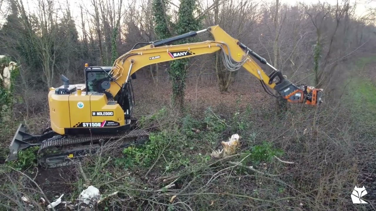 CESOIA FORESTALE WTC300 - Pulizia totale di un'area boschiva