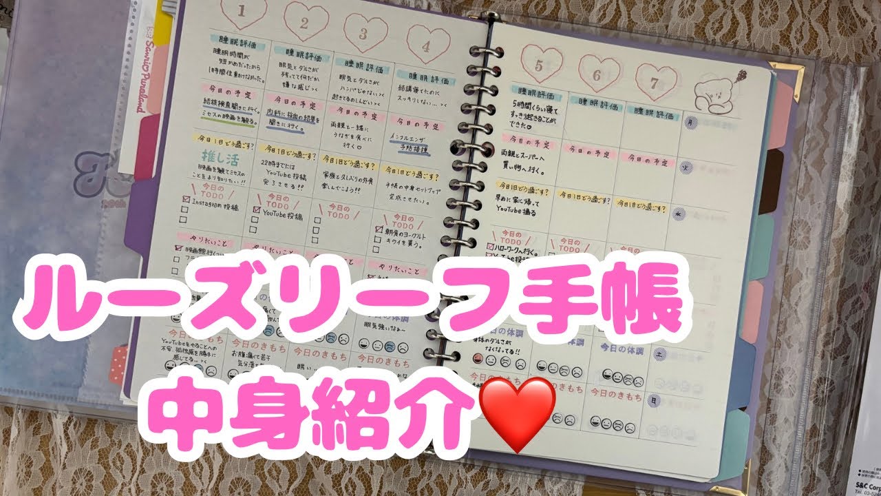 ルーズリーフ手帳の中身を紹介します🩷