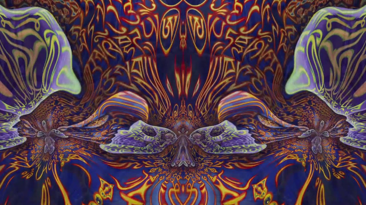 Tipper Ambient Set @ CoSM   Jan 4, 2015