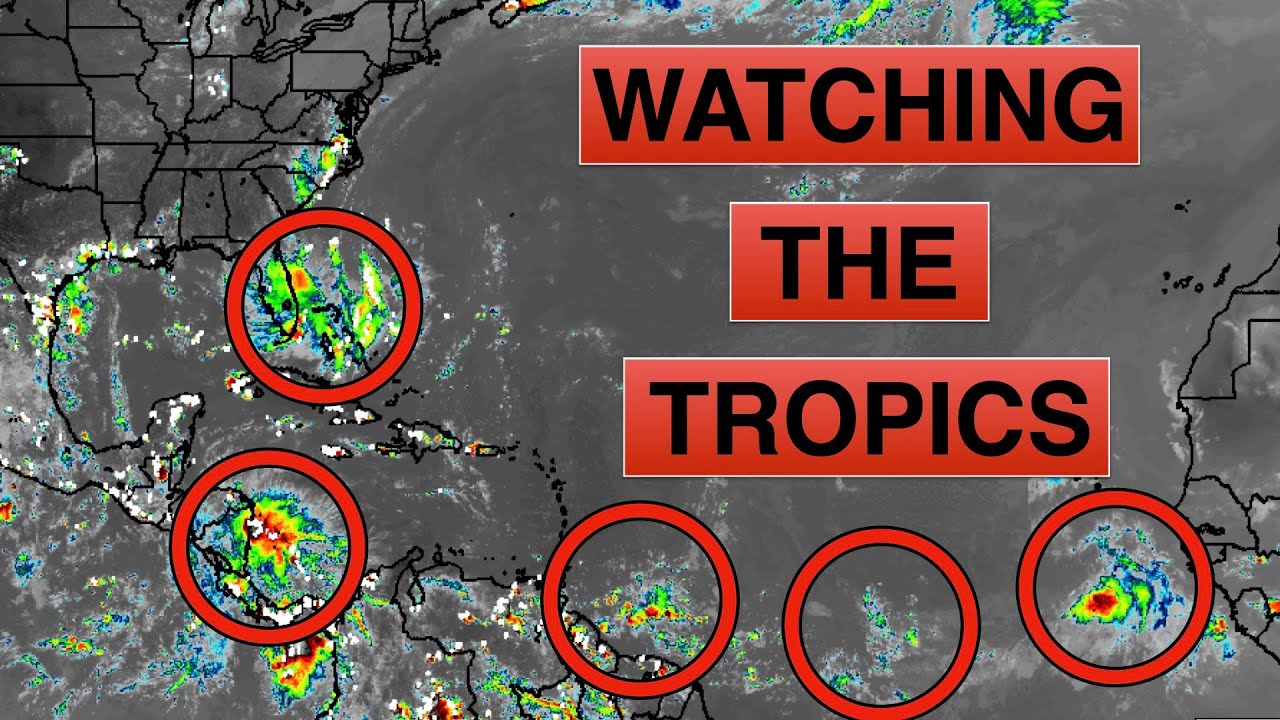 Will Disturbance 1 develop or just be a rain maker?