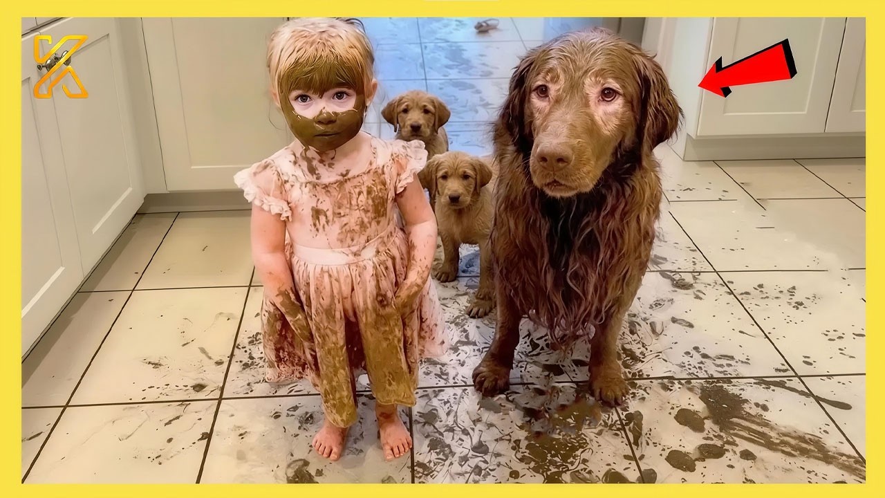 🐶 When Your Baby Is Raised by a Dog 😂 Funniest Baby & Animal Compilation