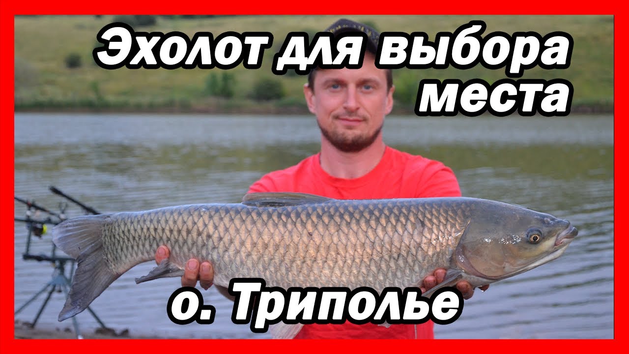 Как выбрать место ловли карпа эхолотом на новом водоёме (Триполье / Июль / 2020)