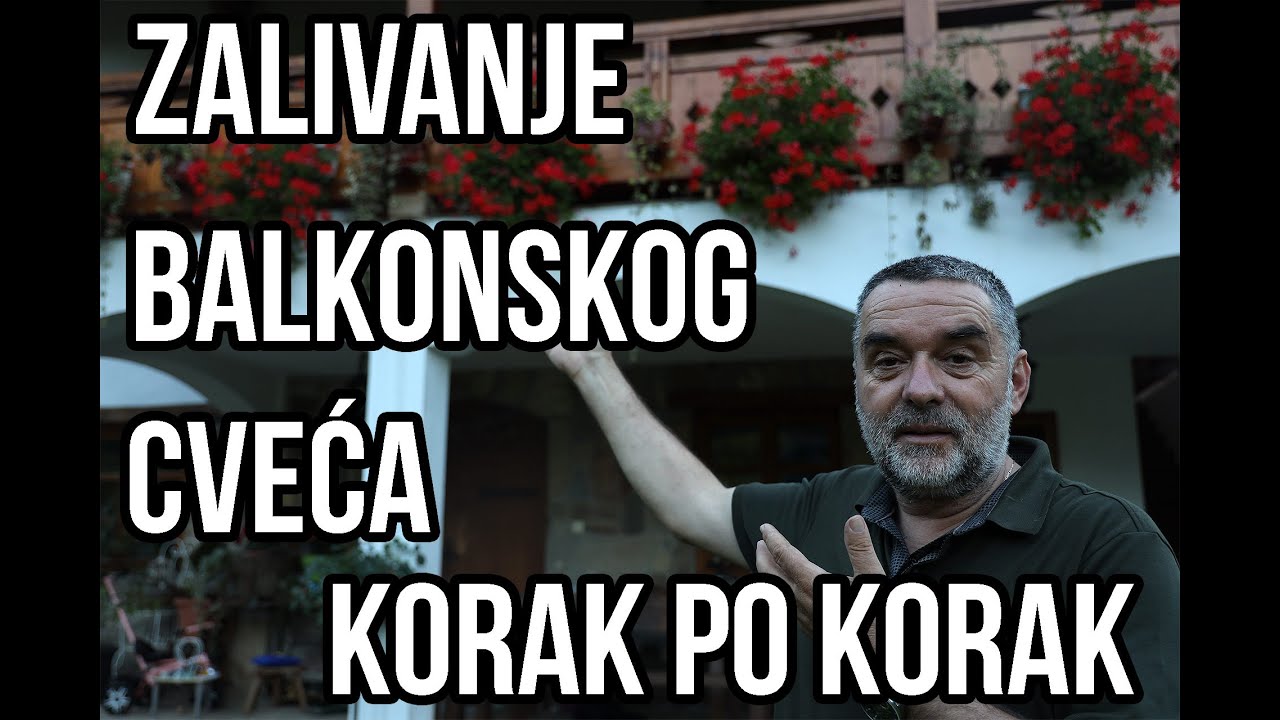 Zalivanje balkonskog cveća- korak po korak