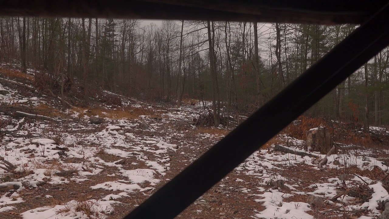 Last Day Of Pa Rifle Season Did We Get One?
