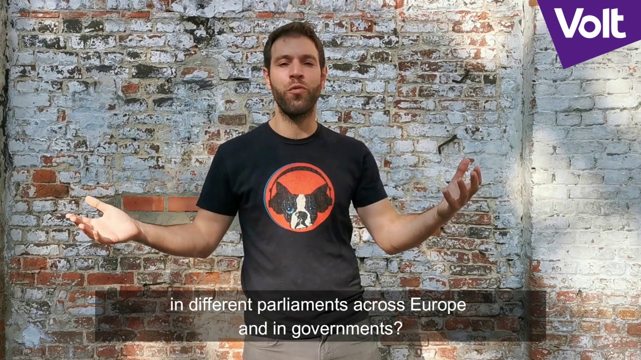 Volt as a Movement and Party