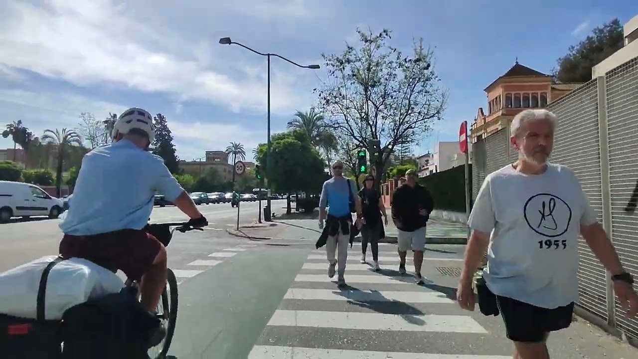 Caminando por la avenida de las palmeras , Sevilla España