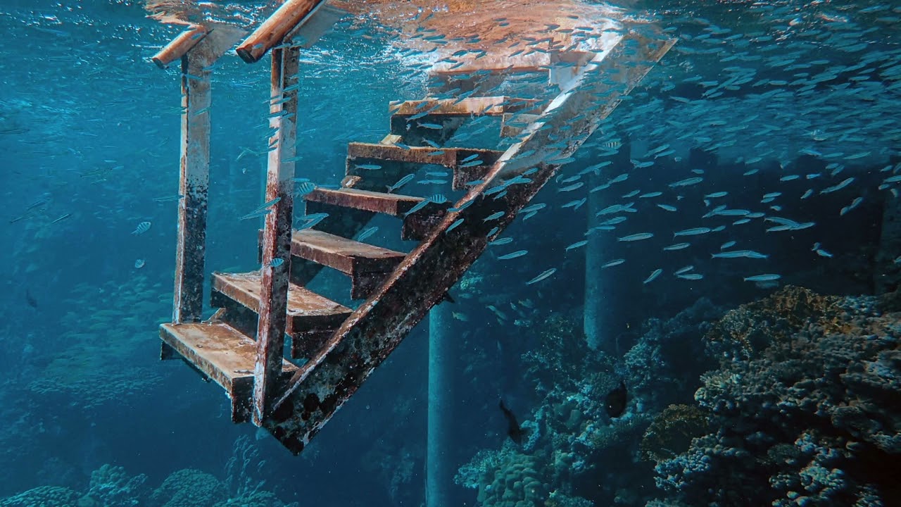 Ambient Sounds of Underwater Diving