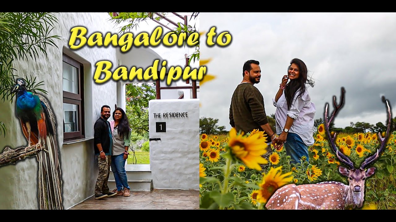 Weekend Getaway | Bangalore to Bandipur | Jungle Safari | The Serai