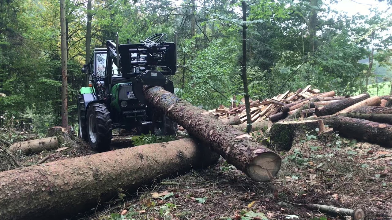 Holz rücken - Käfer, Käfer, Käfer