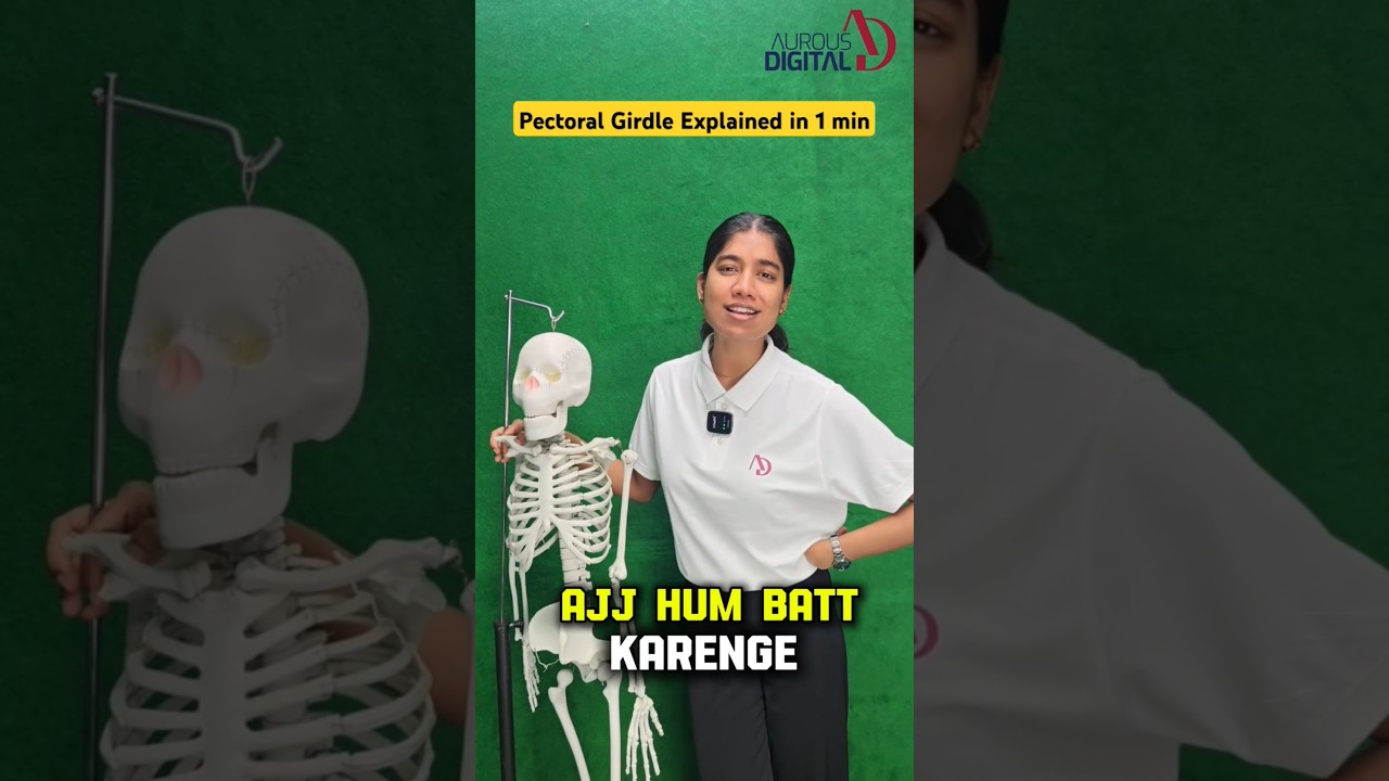 Pectoral Girdle Explained in 1 Min 💀 | Krity Maam #neet #neet2026 #ytshorts #shorts #biology