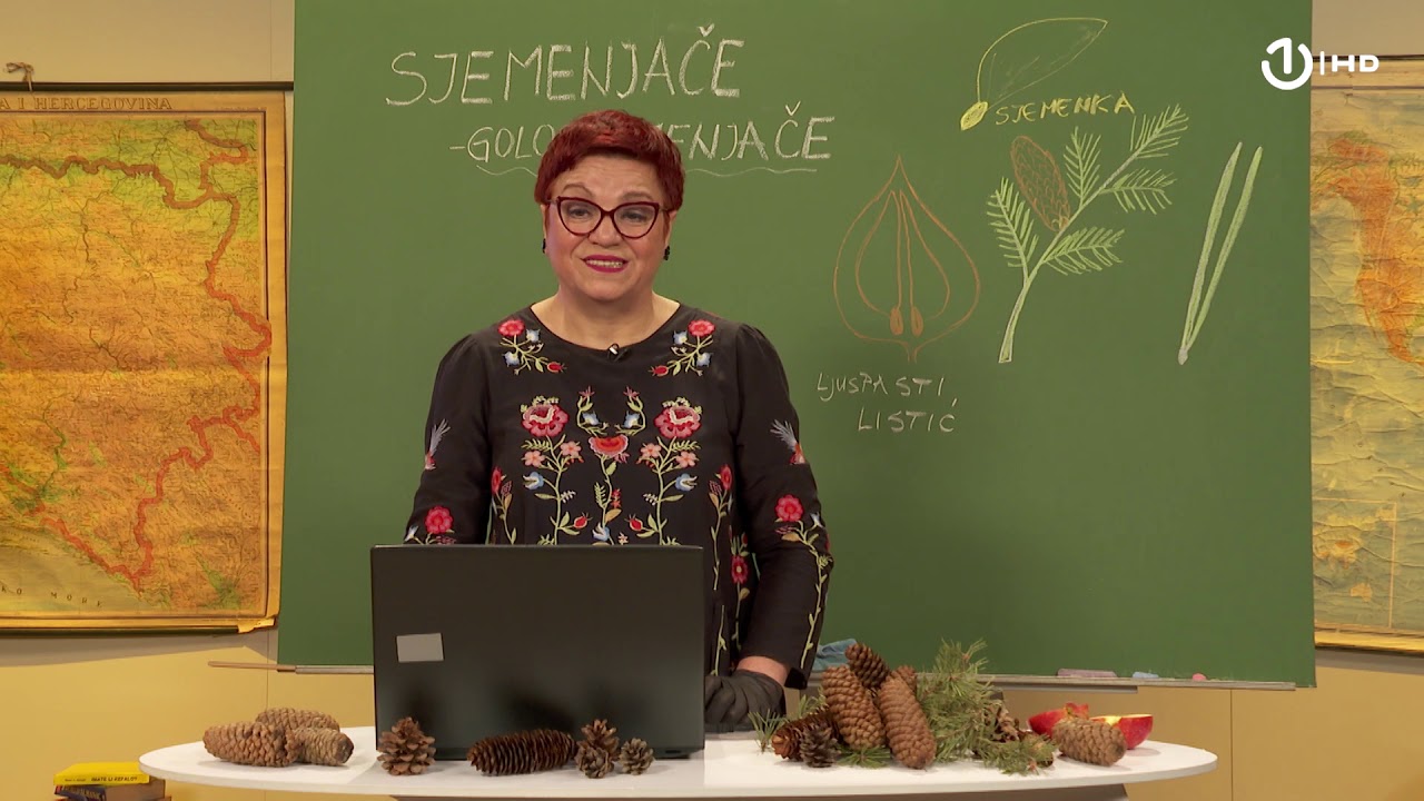 Domaća zadaća za 6. razred: Biologija - Sjemenjače - golosjemenjače