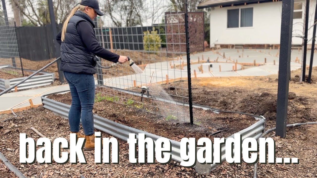 Finally Back to Gardening 🙌🏼✨🌿 Pruning Roses, Abutilon & More