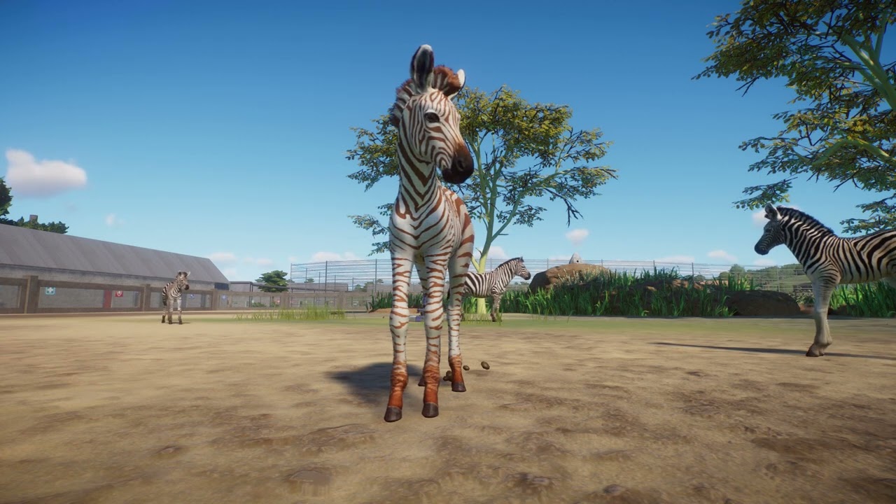 STEPPENZEBRAS1