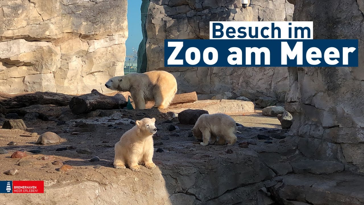 Besuch im Zoo am Meer Bremerhaven