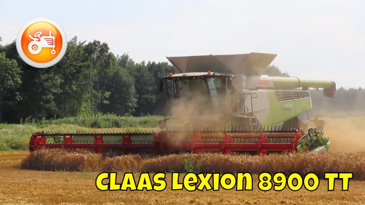 Harvest 2025 | Claas Lexion 8900 TT combine & Convio 1230 header