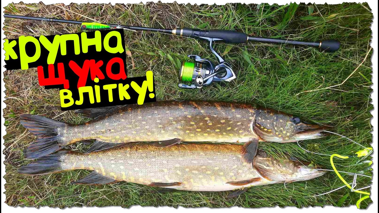Ловля ЩУКИ влітку | як впіймати КАПРИЗНУ щуку ЛІТОМ ??? | ЩУКА і приманки на які вона КЛЮЄ