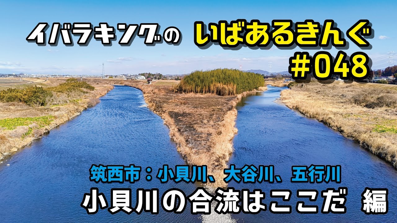 小貝川の合流はここだ（筑西市）　いばあるきんぐ#048