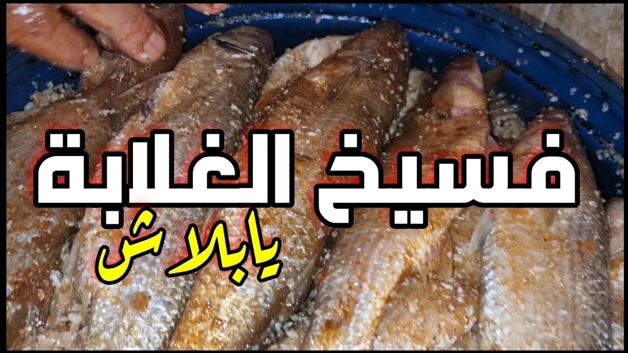 سر صنعه سنين فسخاني السويس عم محمد الباز يتحدي علاج للكورونا بالفسيخ المصري مع #ملكة_البحريات