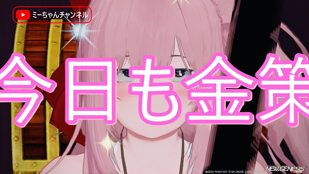 【PSO2NGS】 ぷそ愛でる配信
