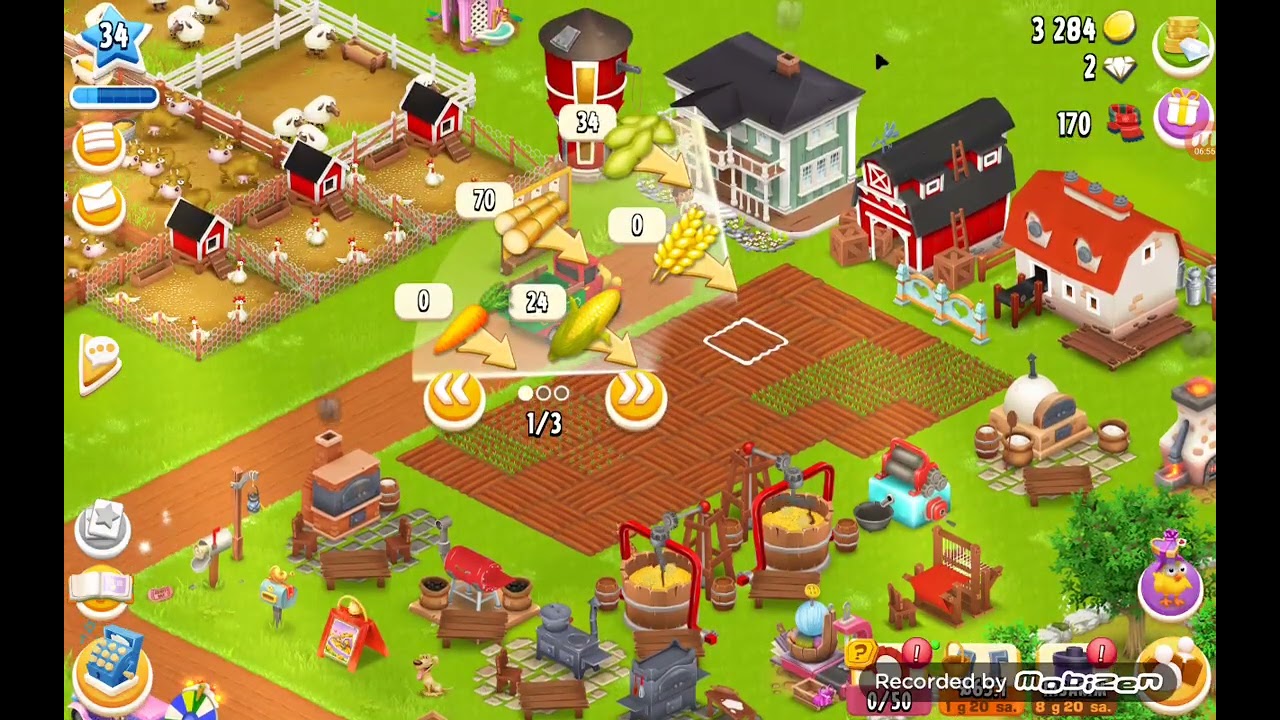hay   day