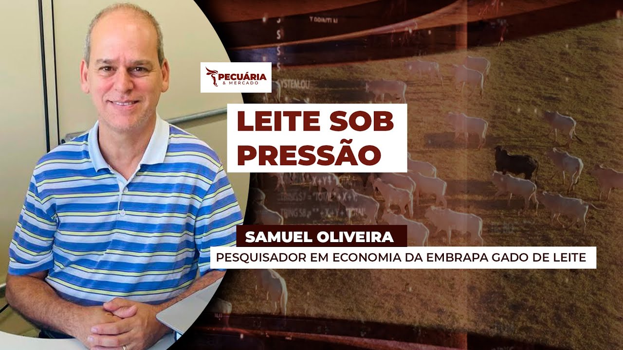 Pre&ccedil;o do leite ao produtor perde a refer&ecirc;ncia dos R$2 por litro e aperta margem no campo