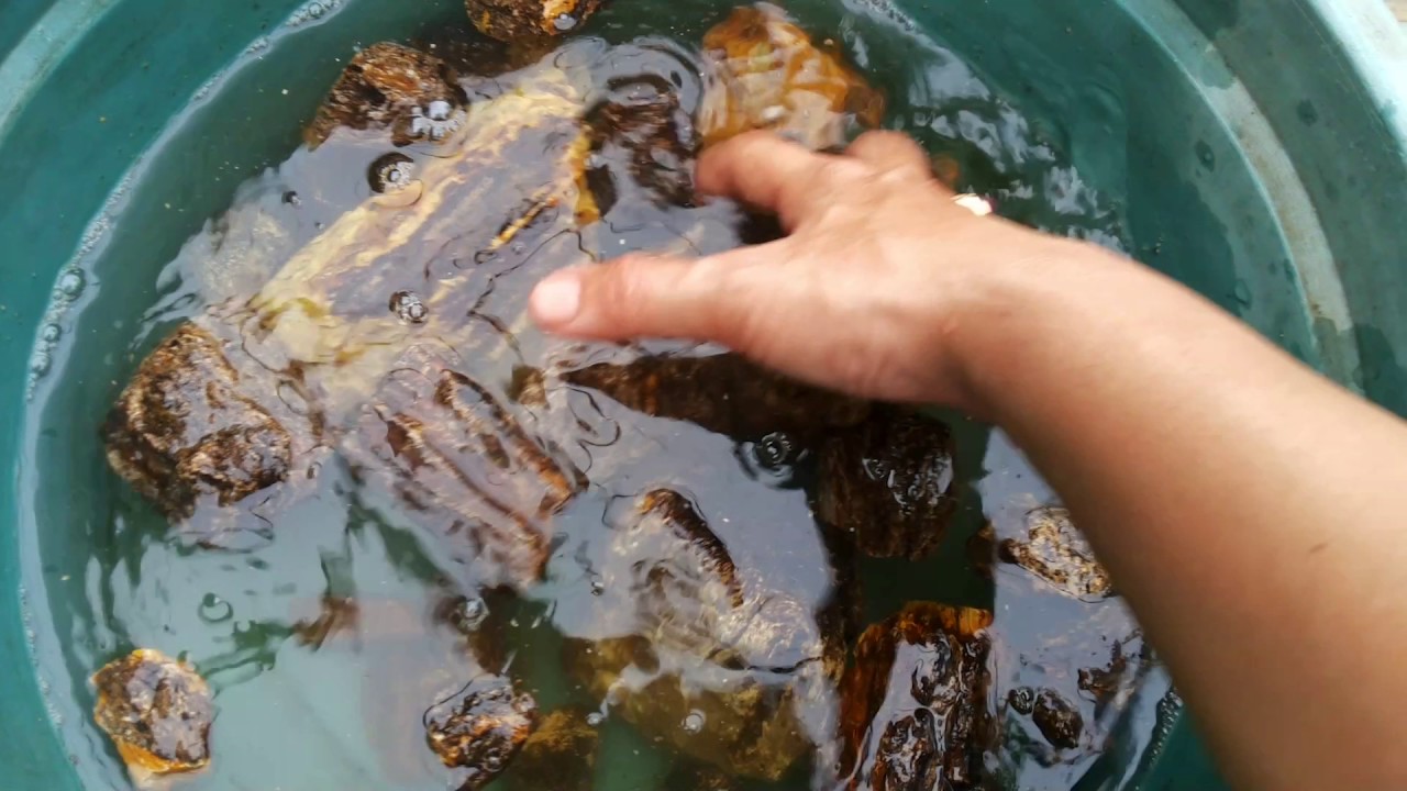 Raw amber from Sumatra, Indonesia