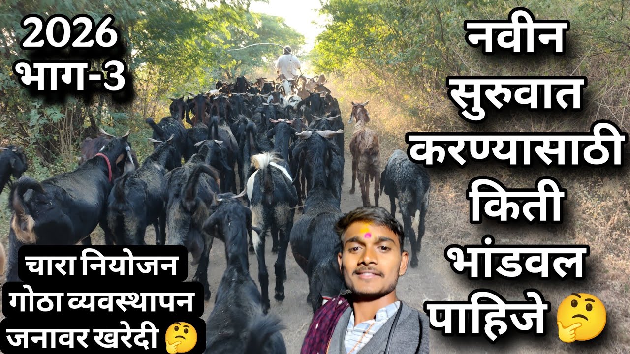 शेळीपालन सुरू करण्यासाठी किती पैसे पाहिज 🤔 रंधे भैय्या शेळीपालन फॉर्म ❤️‍🔥 8766931408