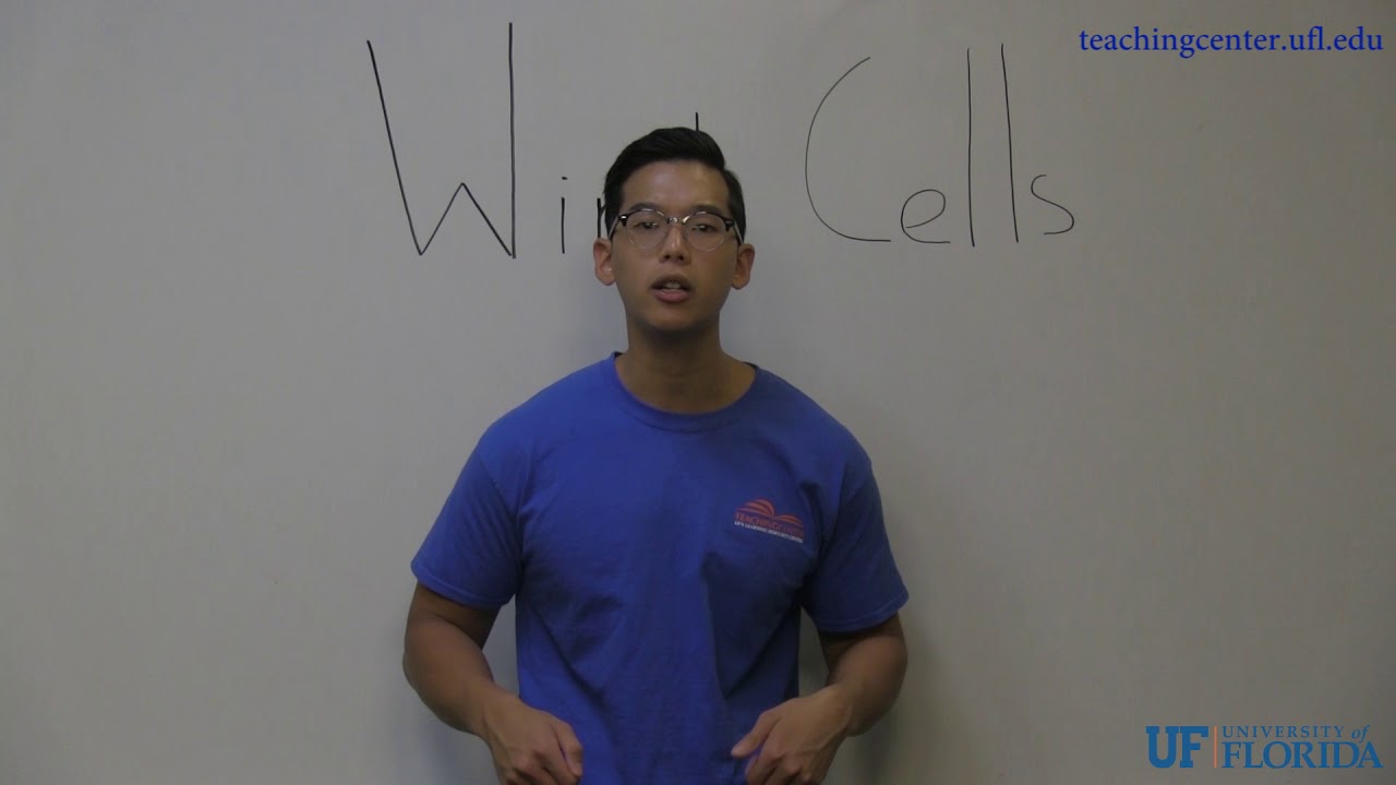 Hadley Cells