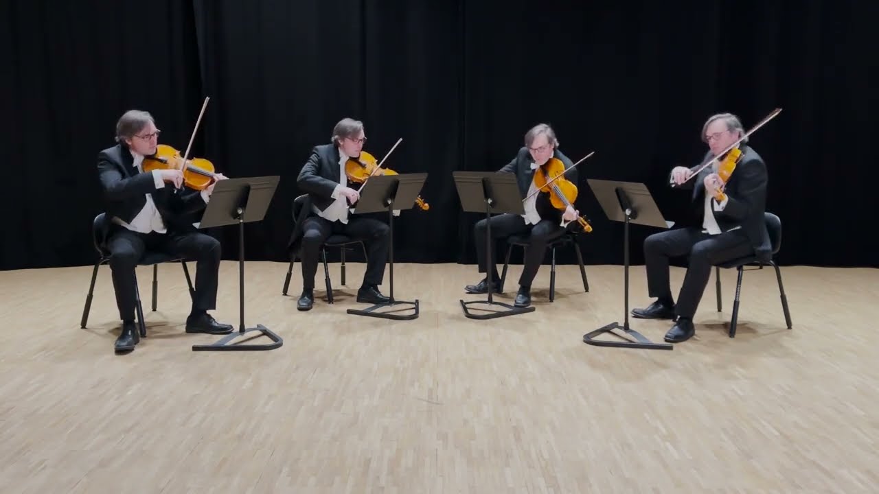 Persona 5 - Last Surprise Viola cover