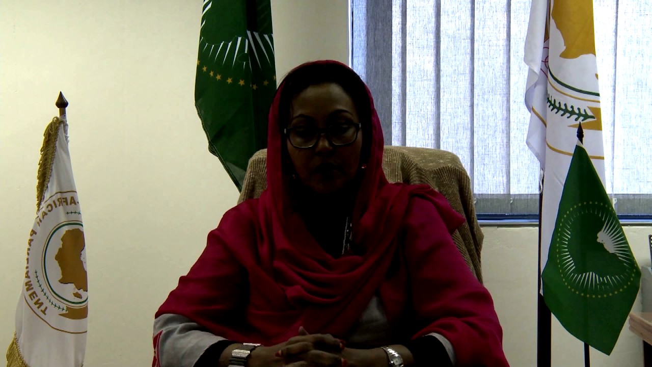 What is PAN AFRICAN PARLIAMENT ?