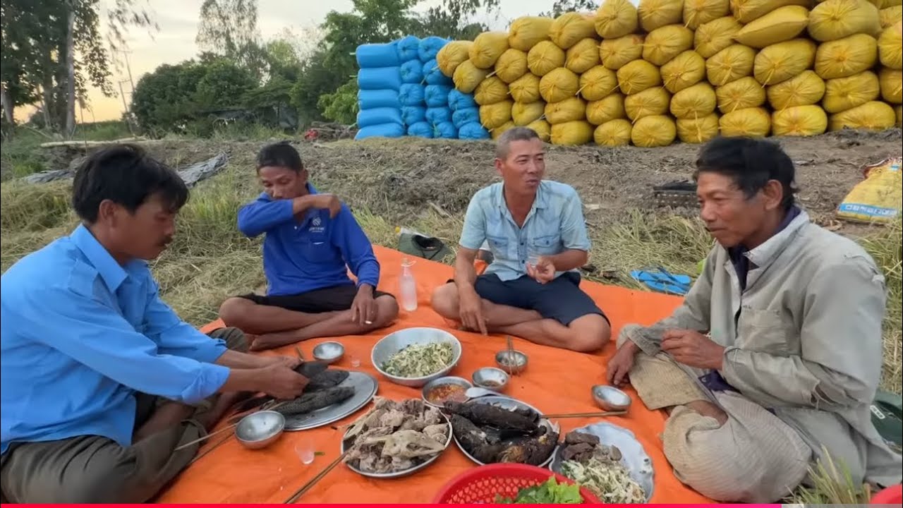 Anh Toàn Nông Dân Cắt Lúa Lai Rai Món Cháo Vịt Với Mưu Sinh Miền Quê |T563