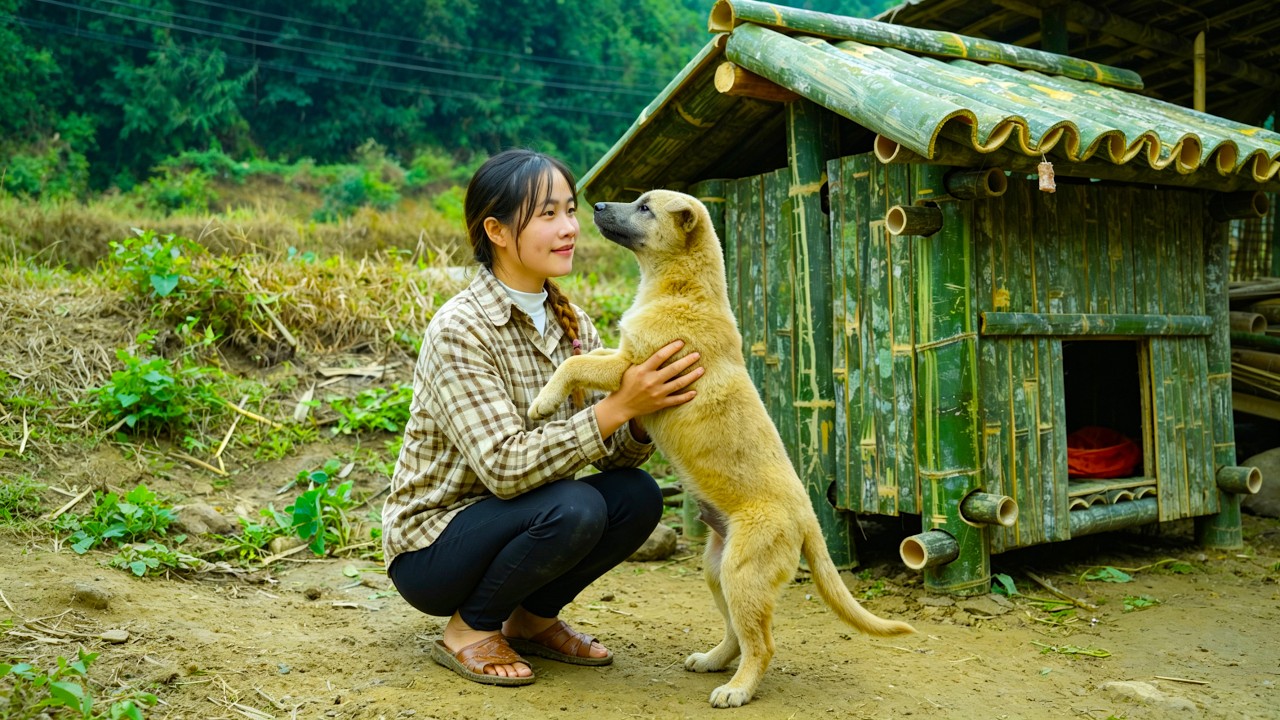 Full Video Single Mother Builds a Bamboo House Alone and Catches Giant Fish to Sell at the Market